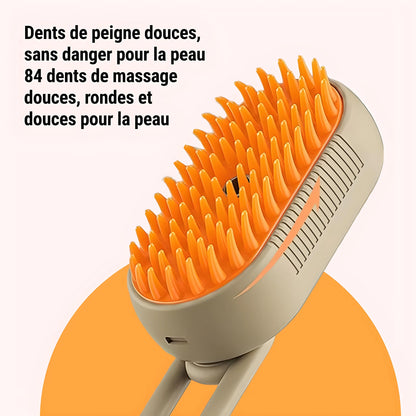 Brosse à vapeur