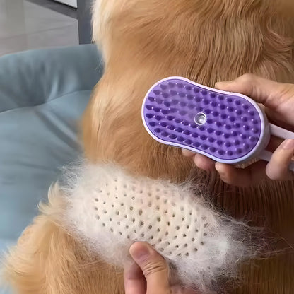 Brosse à vapeur