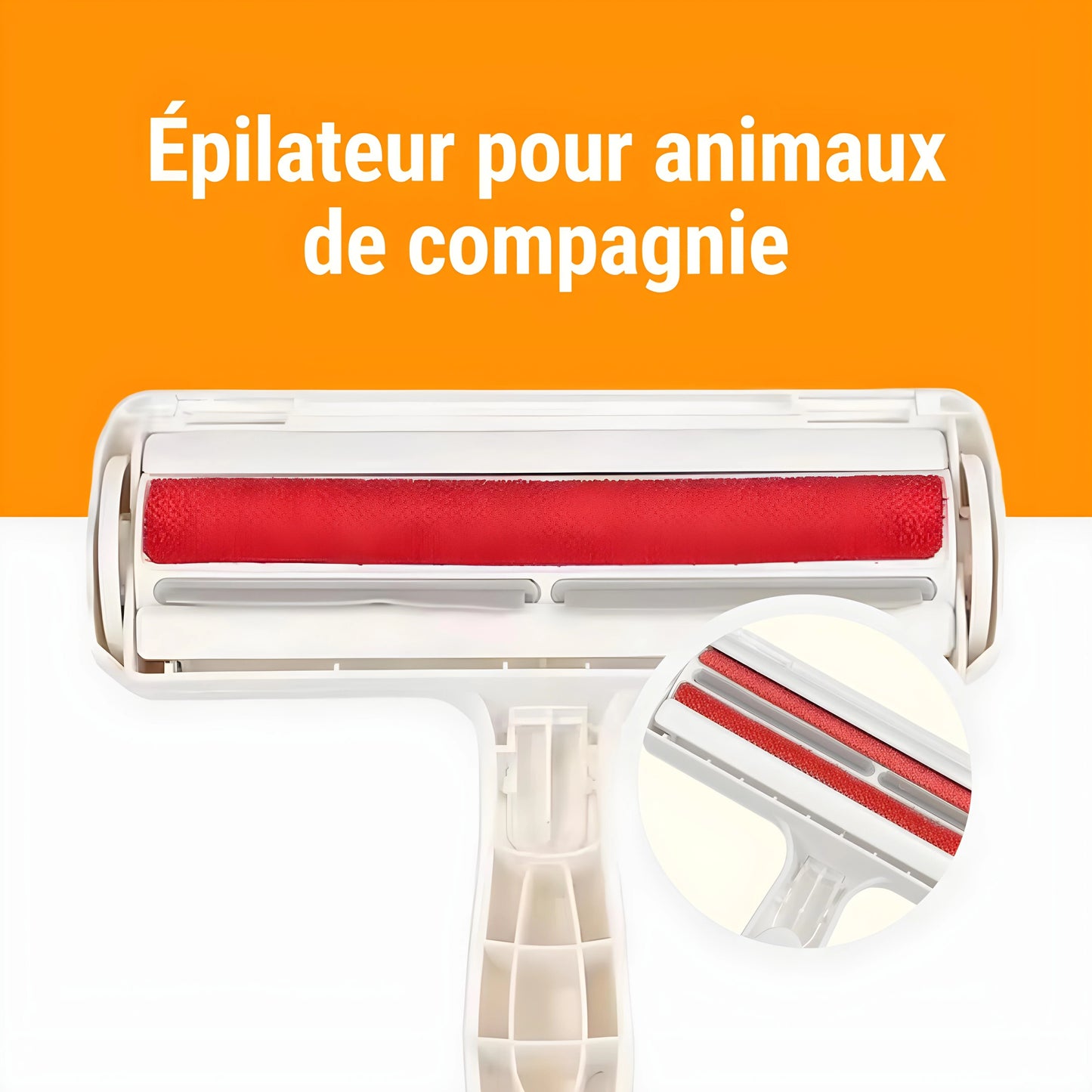 brosse anti poil